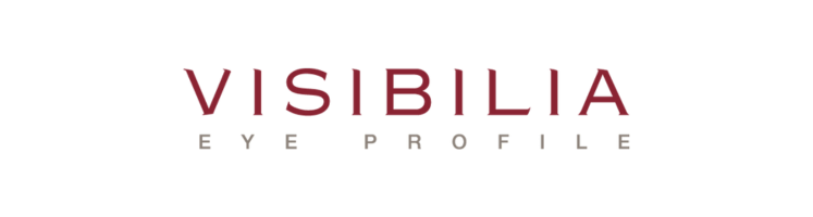 Logo Visibilia